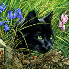 Оригинал схемы вышивки «čierna mačka» (№1949339)
