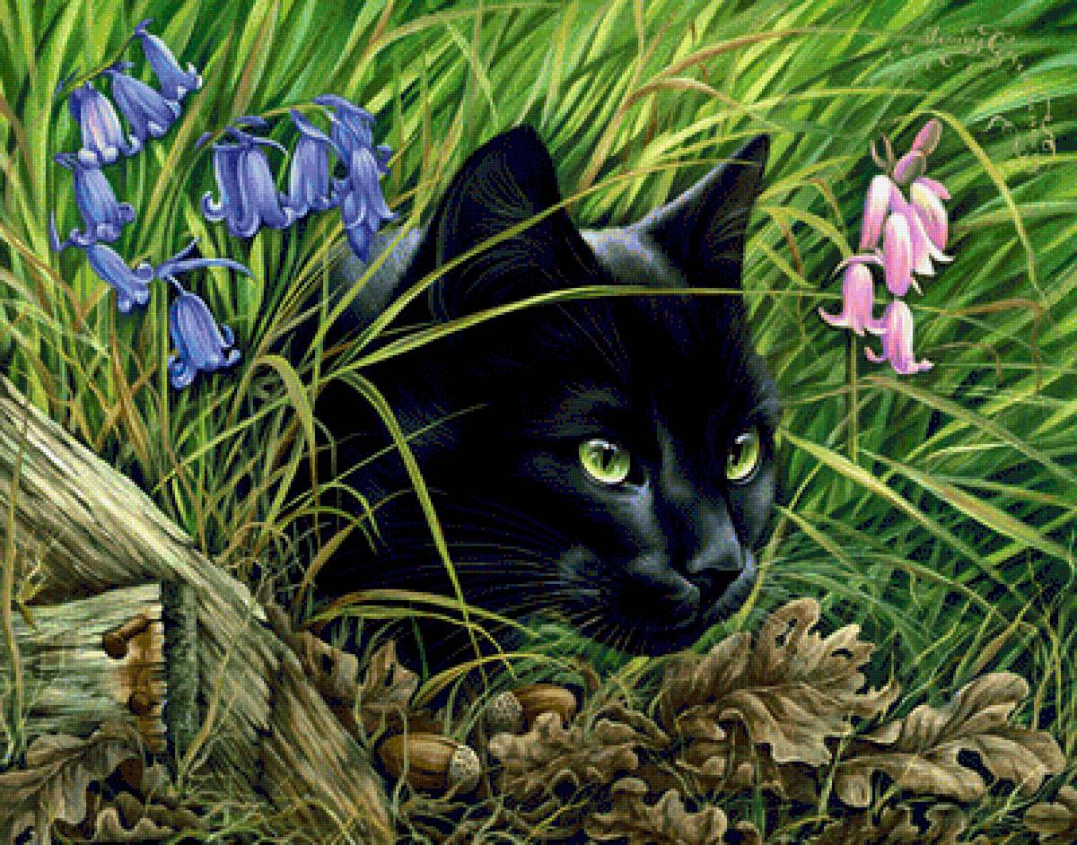 čierna mačka - предпросмотр