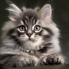 Схема вышивки «кот Пушок»