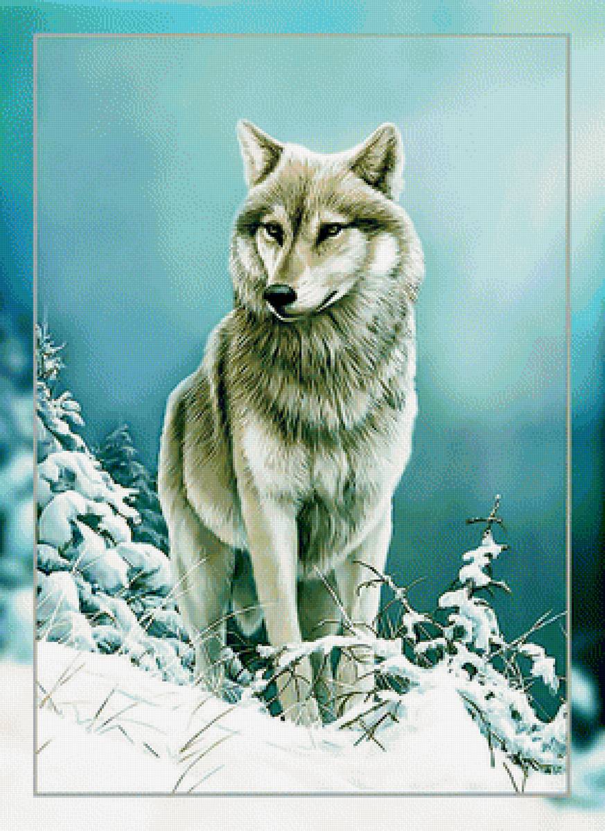 Волк в зимнем лесу2. - зима, лес., снег, хищник, волк - предпросмотр