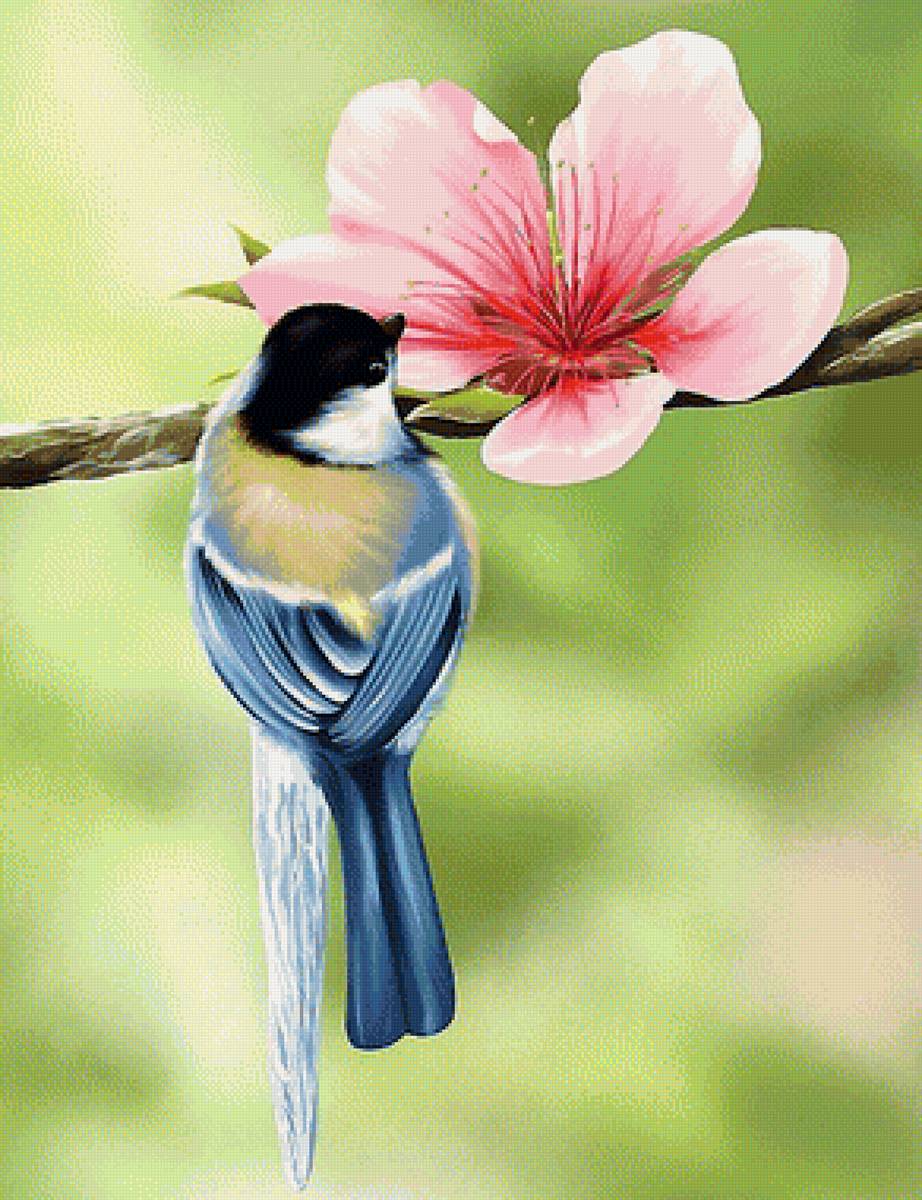 №1949679 - предпросмотр