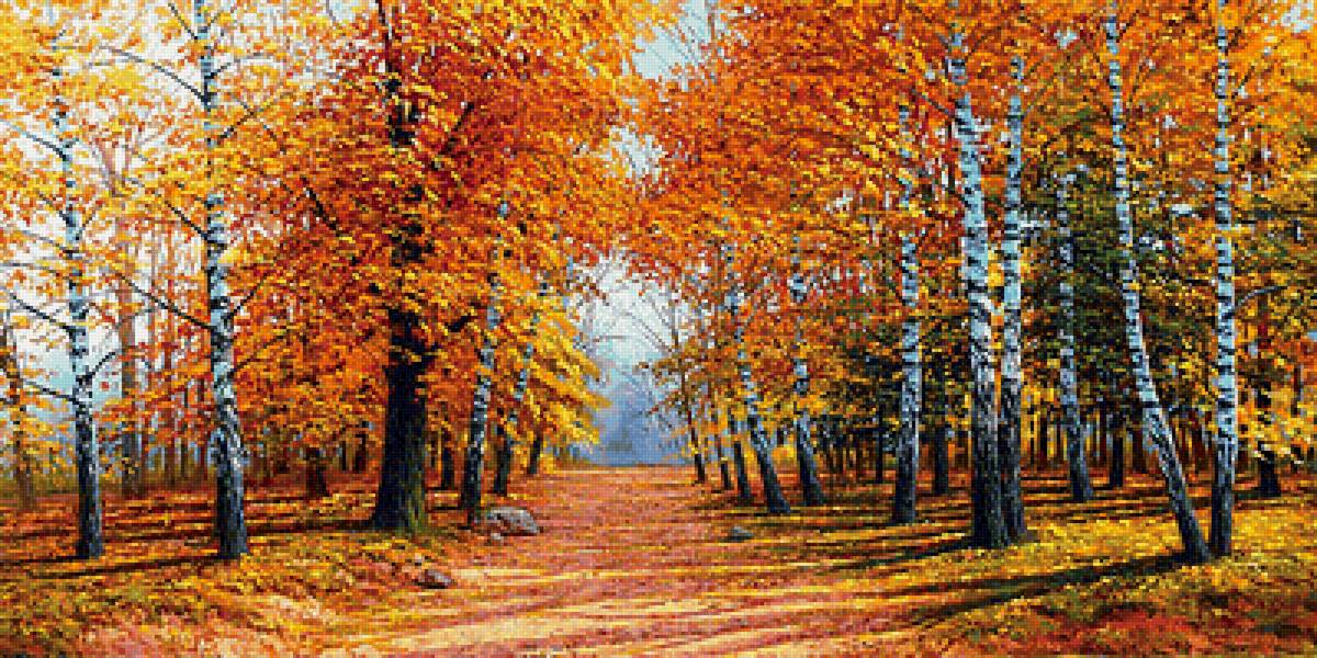 Осенний пейзаж - березы, аллея, осень - предпросмотр