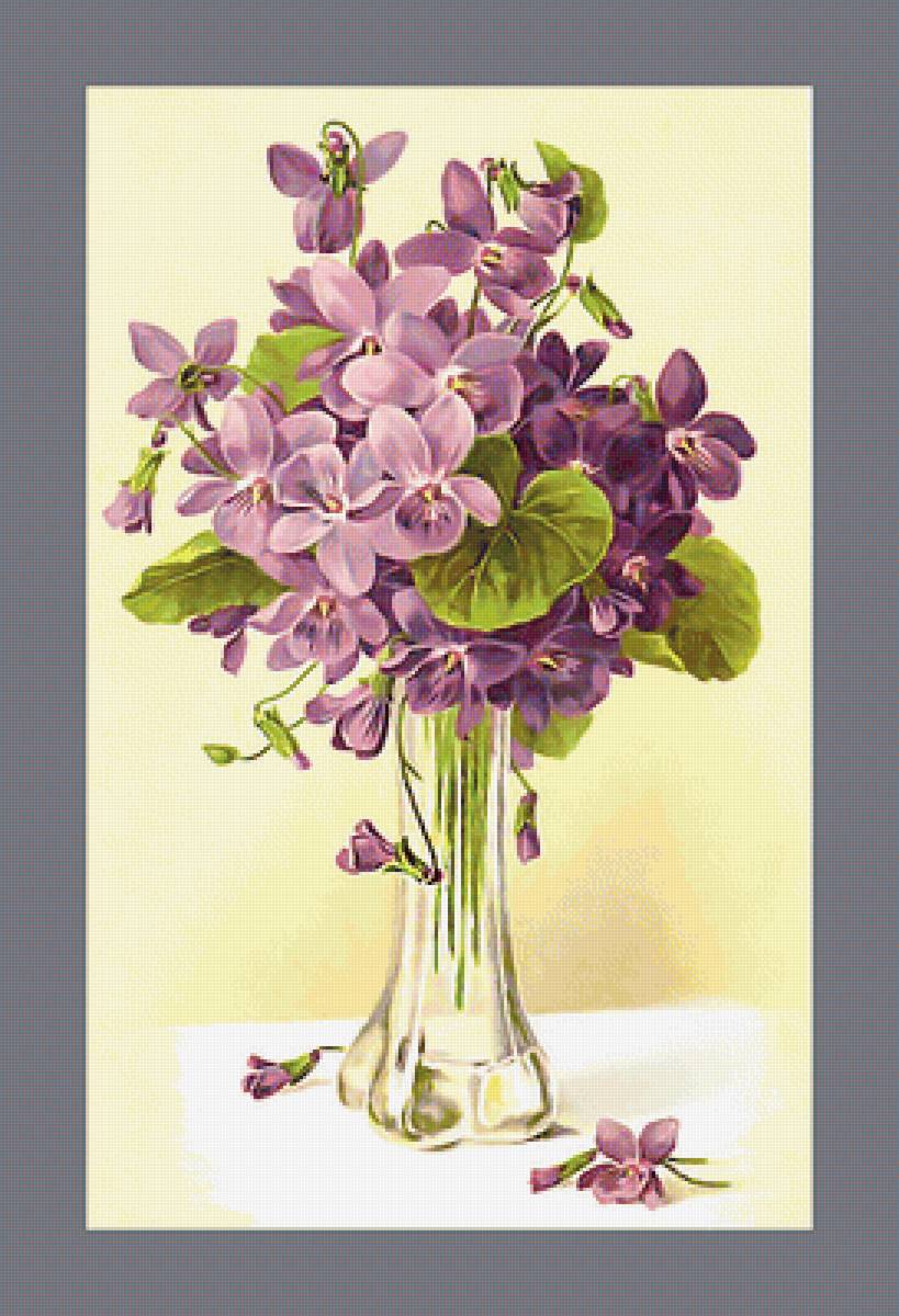 Серия "Фиалки" - цветы, флора, букет, фиалки - предпросмотр