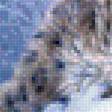 Предпросмотр схемы вышивки «снежные барсы» (№1949769)