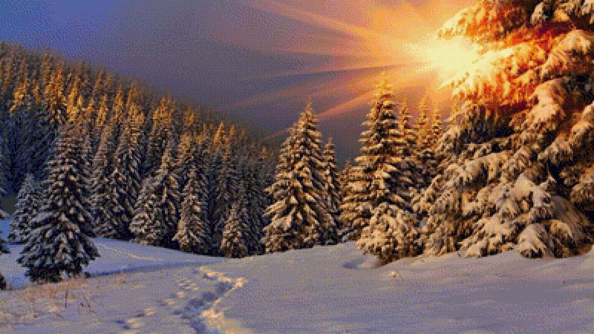 зима - лес, елки, снег, зима, солнце - предпросмотр