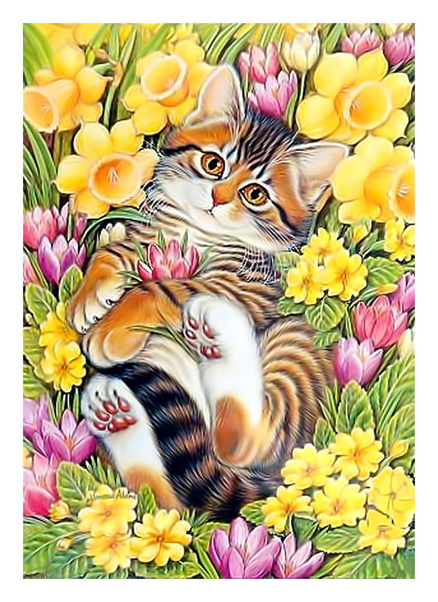 Серия "Коты". - цветы, коты, животные - оригинал