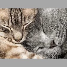 Схема вышивки «№1949926»