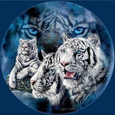 Схема вышивки «белые тигры»