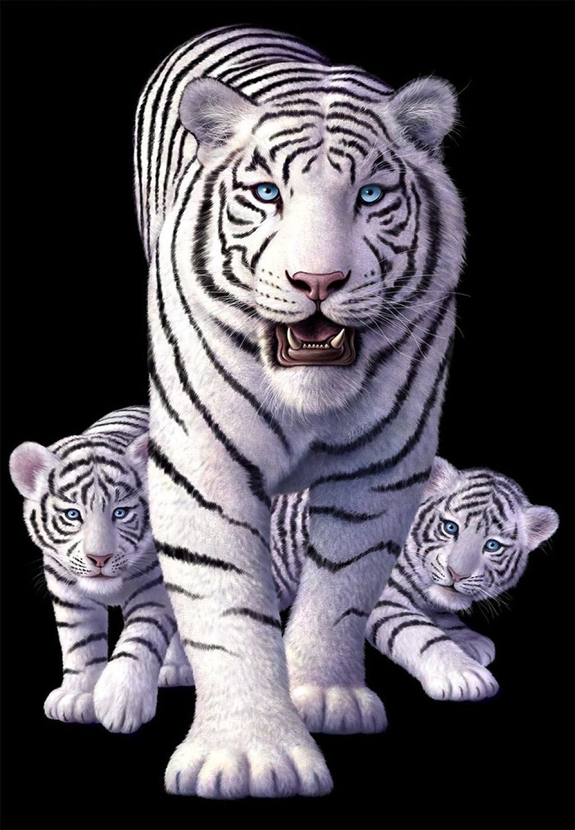 Серия "Хищники". Тигры - хищники, тигрята, животные, тигрица - оригинал
