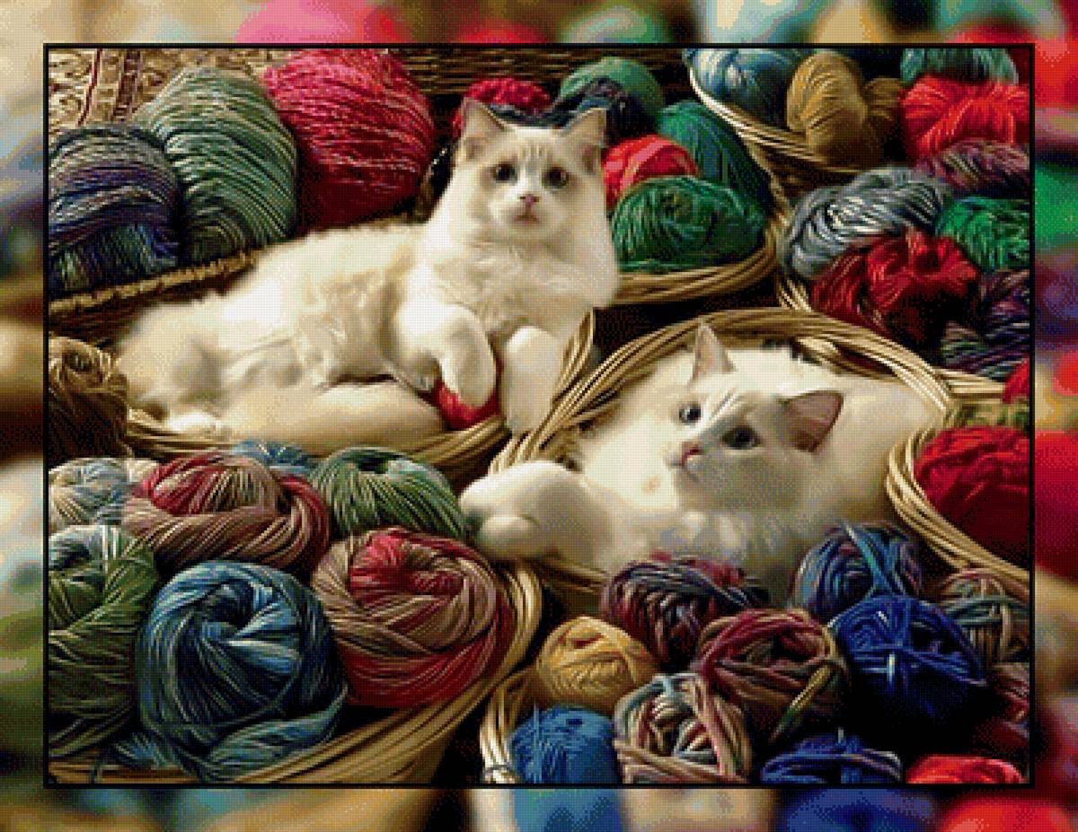 Котики и клубочки. - нитки., клубок, коты - предпросмотр