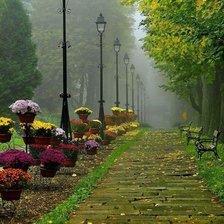 Схема вышивки «530»