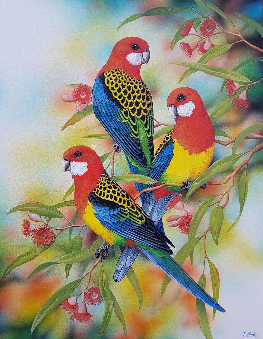 vtáci - оригинал