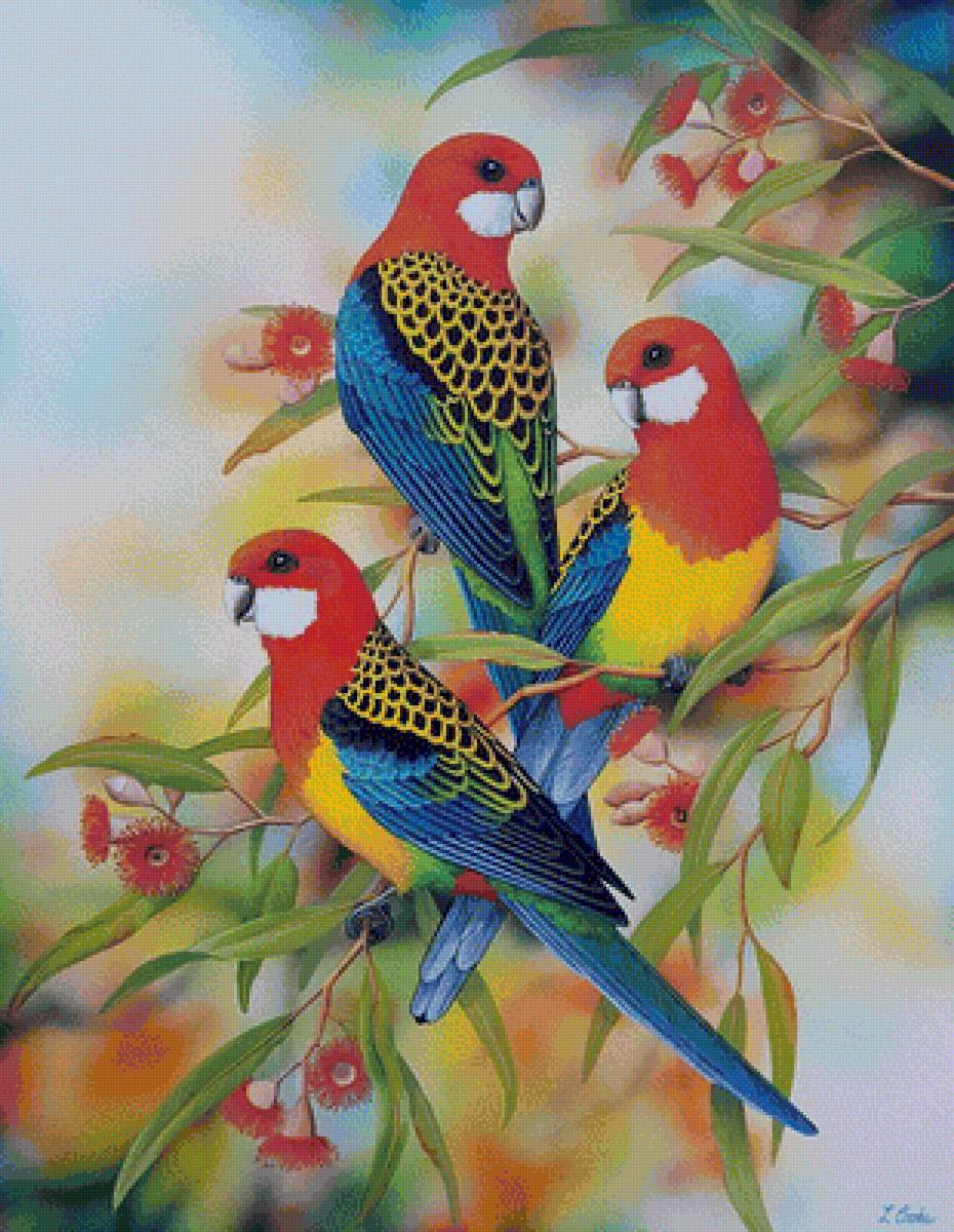 vtáci - предпросмотр