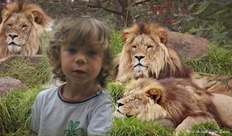 sunus - vita.s - оригинал