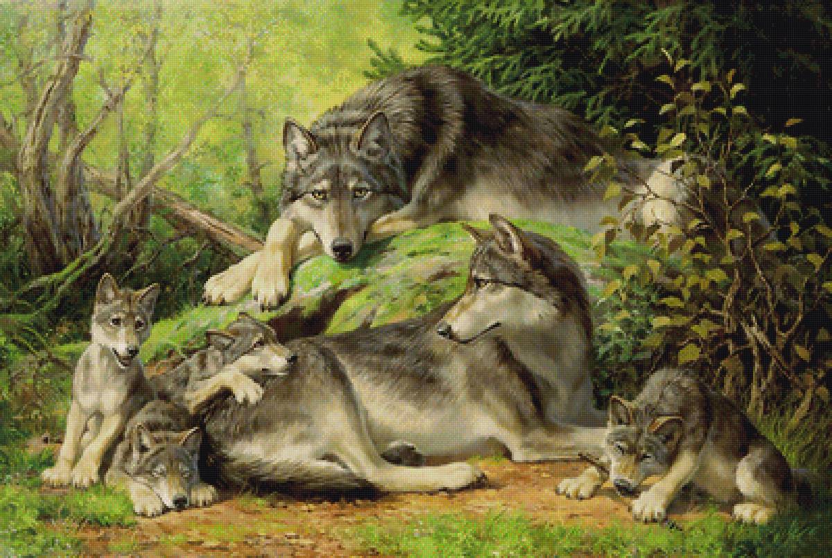 №1950439 - хищники, волки, животные - предпросмотр