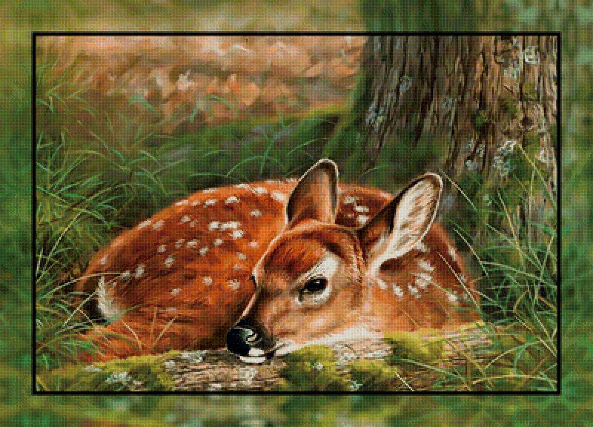 Оленёнок. - лес, олень. - предпросмотр