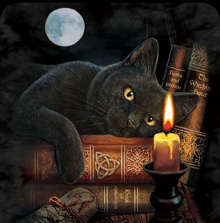 Котик мечтатель - котики, животные - оригинал