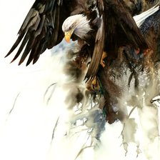 Схема вышивки «Орел худ. P. Williams»