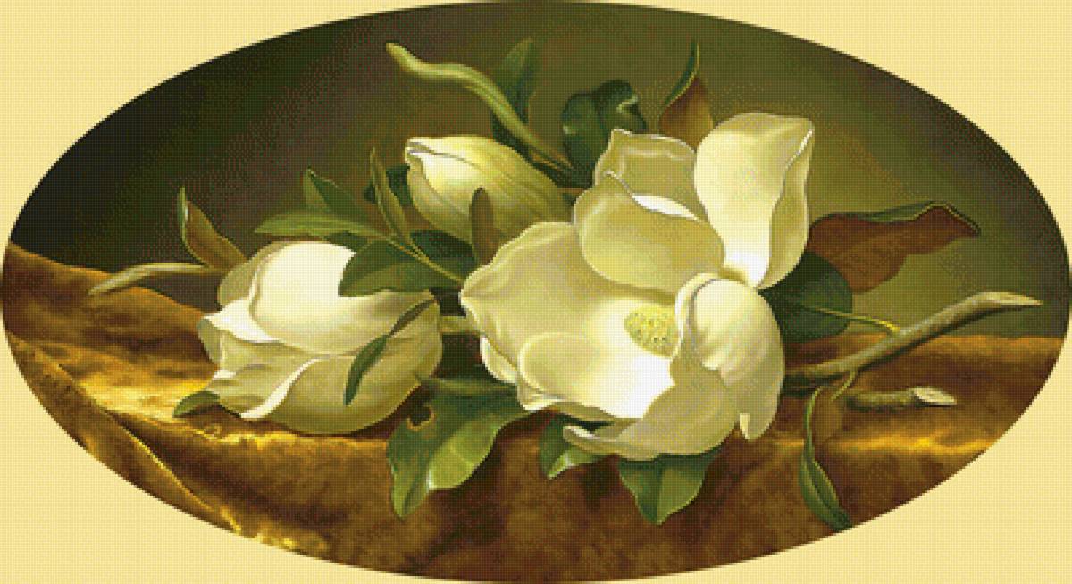 Серия "Магнолии" - цветы, магнолии, флора - предпросмотр