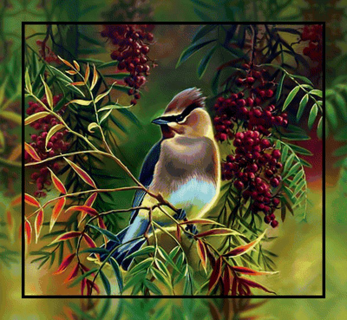 Птичка на рябине. - рябина., птица - предпросмотр