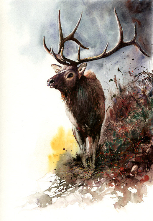 Олень худ. P. Williams - оригинал