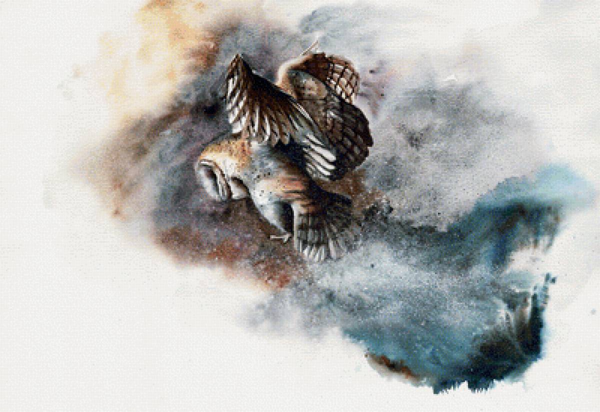 Сова худ. P. Williams - птицы - предпросмотр