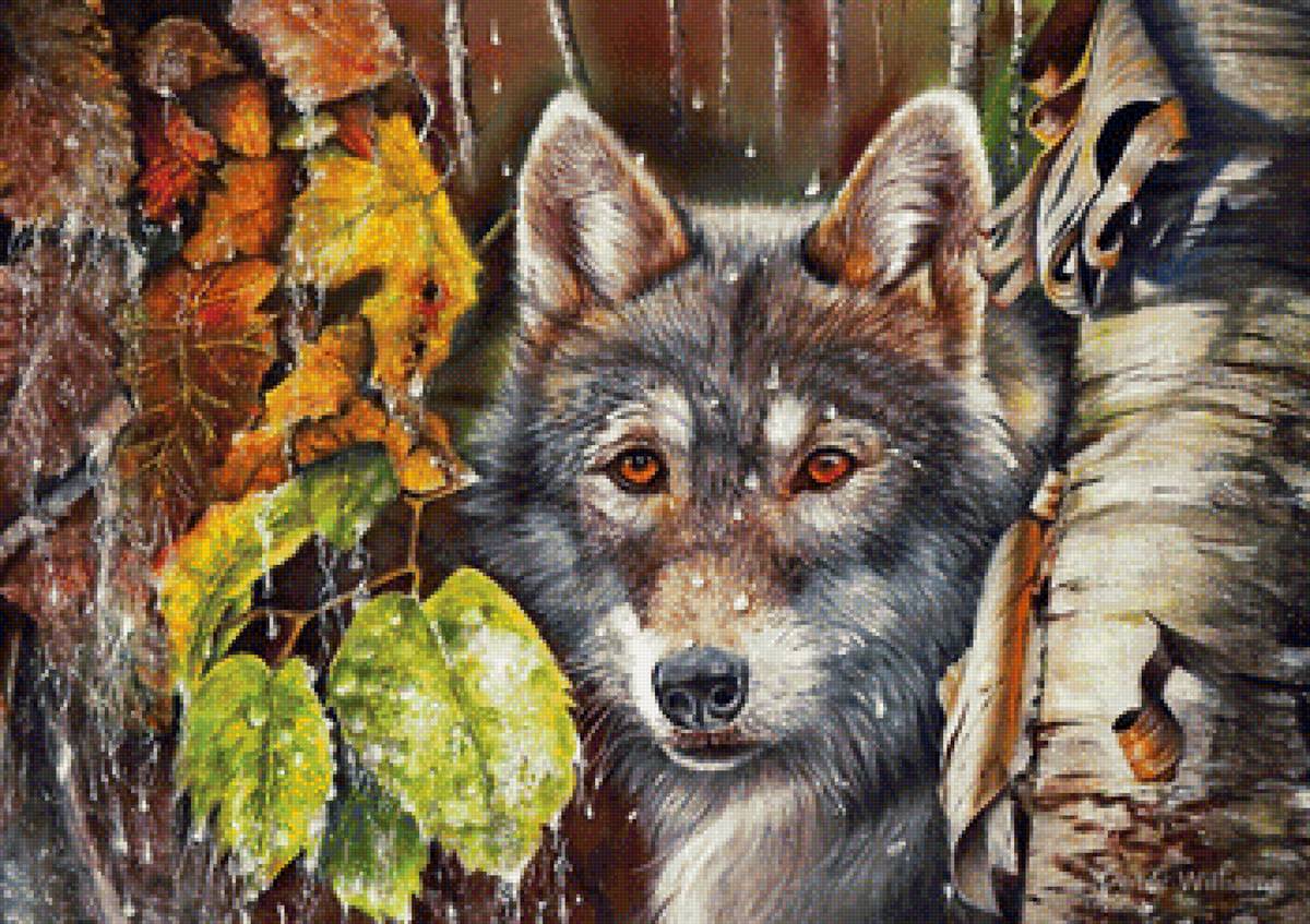 Волк худ. P. Williams - хищник - предпросмотр