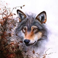 Волк худ. P. Williams