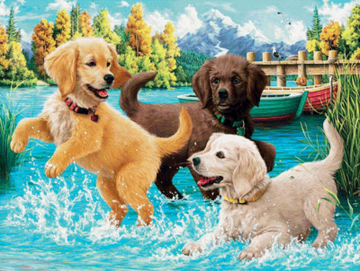 №1951135 - животные, собаки - предпросмотр