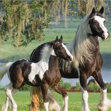 Схема вышивки «Лошади»