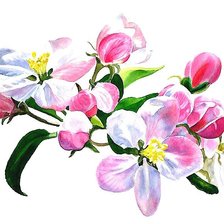 Схема вышивки «акварель»