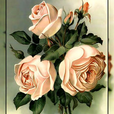 Оригинал схемы вышивки «Кремовые розы.» (№1951371)