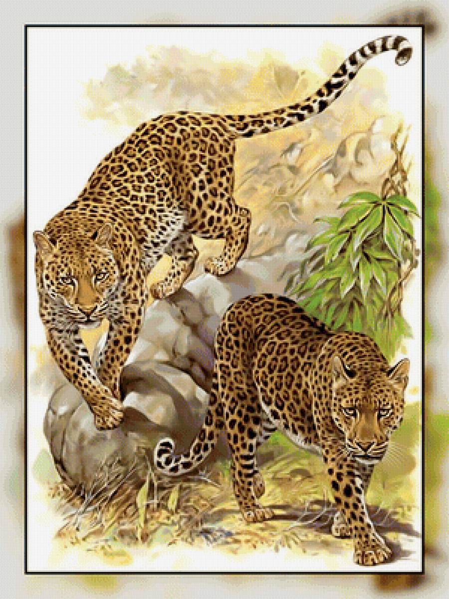 Серия " Кошачьи" Роберт Даллет. - животные., хищник, леопард - предпросмотр