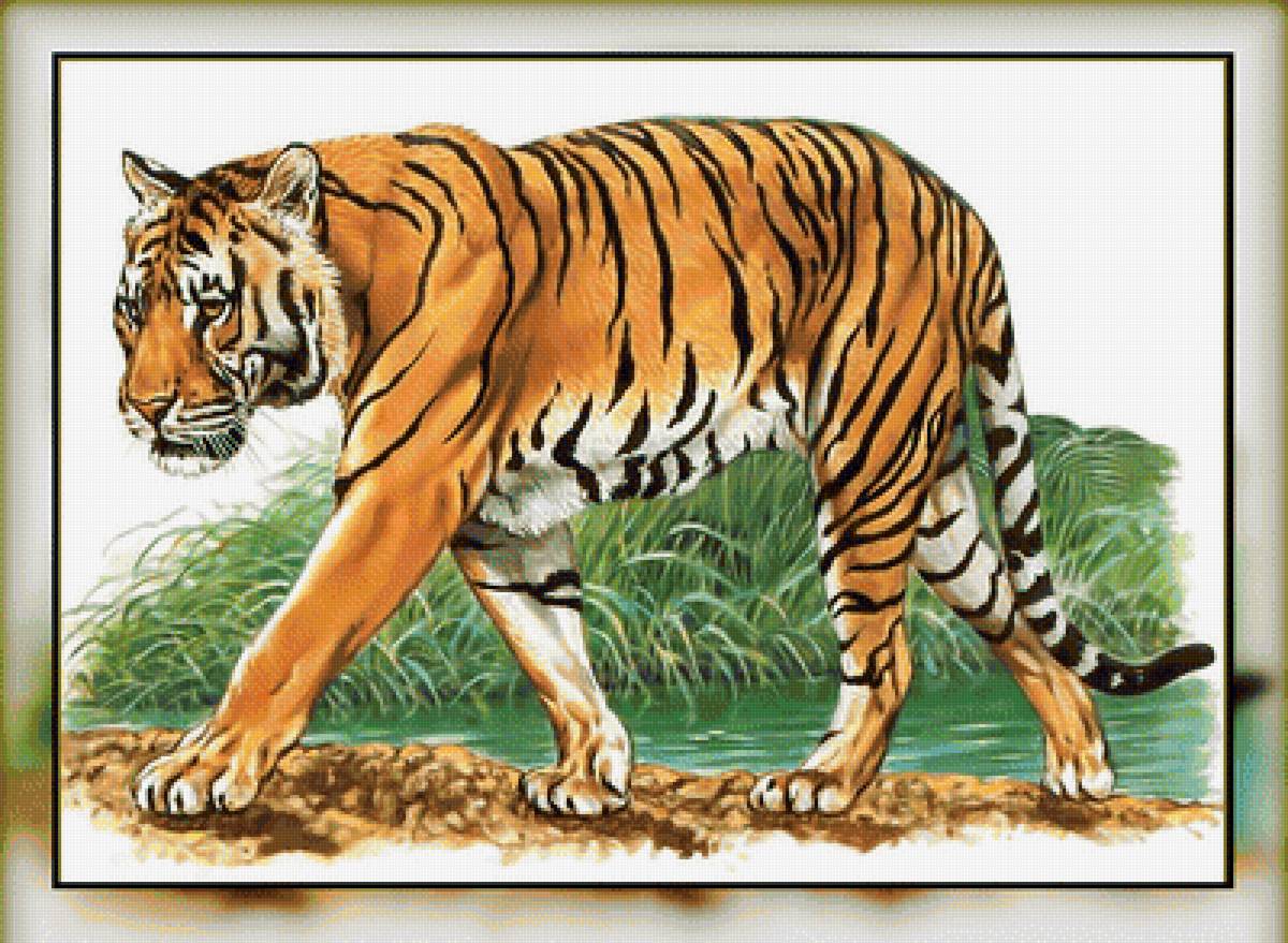 Серия " Кошачьи" Роберт Даллет. - хищник, тигр, животные. - предпросмотр
