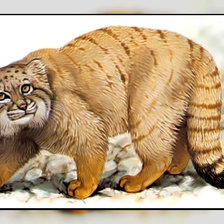 Схема вышивки «Серия " Кошачьи" Роберт Даллет.»