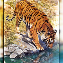 Оригинал схемы вышивки «Серия " Кошачьи" Роберт Даллет.» (№1951457)