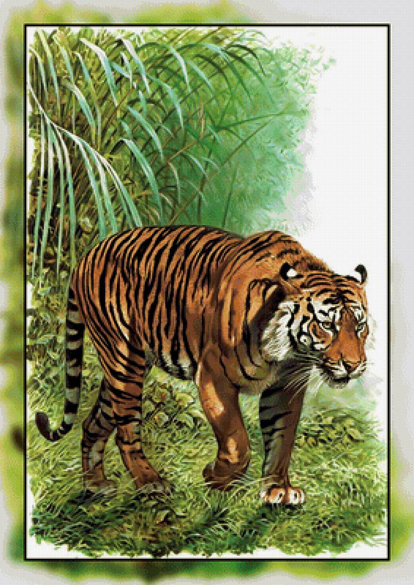 Серия " Кошачьи" Роберт Даллет. - тигр, животные., хищник - предпросмотр