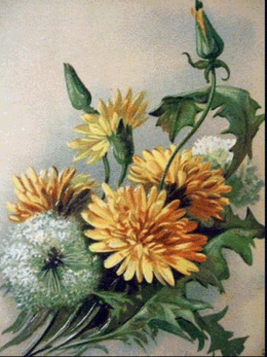 ОДУВАНЧИК - предпросмотр