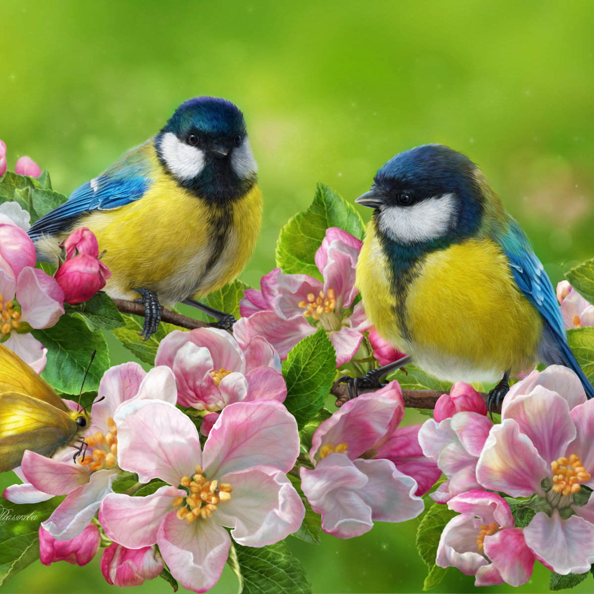 Синицы - цветы, птицы - оригинал