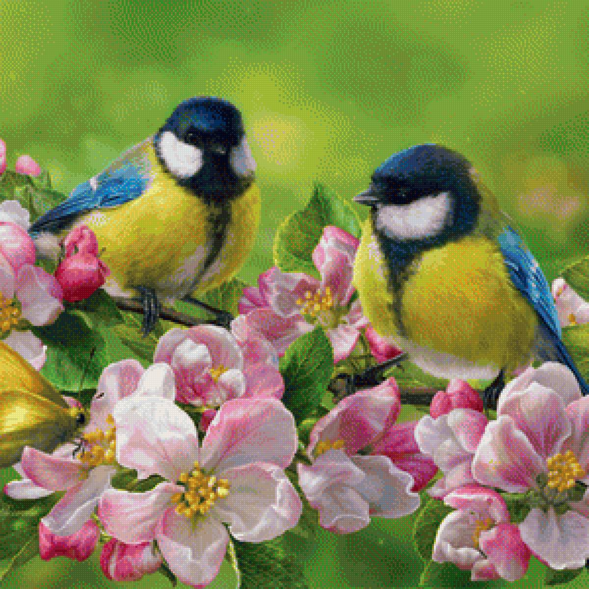 Синицы - цветы, птицы - предпросмотр