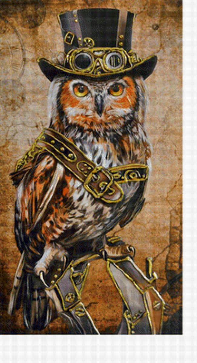 Сова - птицы - предпросмотр