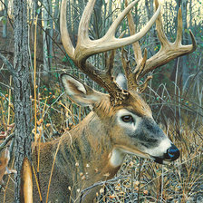 Схема вышивки «№1951693»