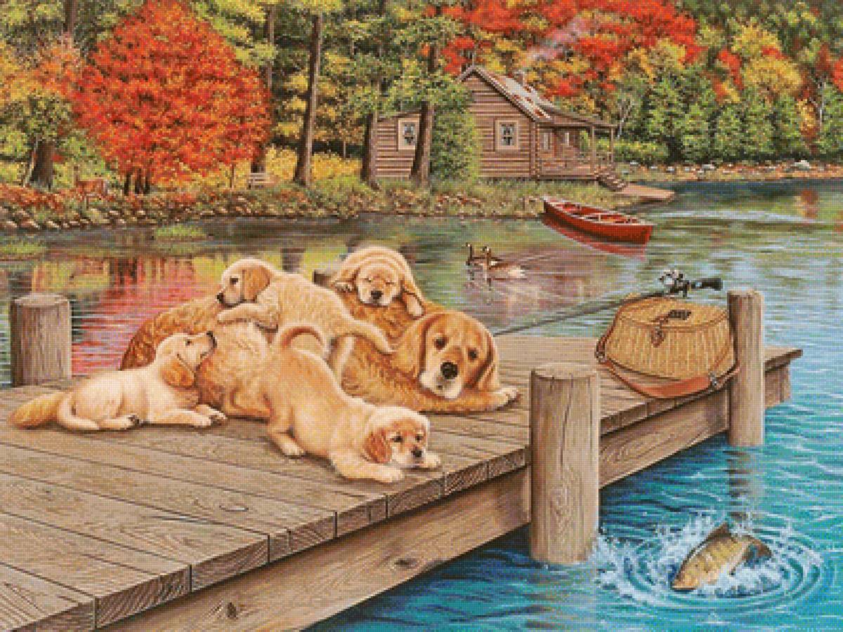 №1951696 - собаки, животные - предпросмотр