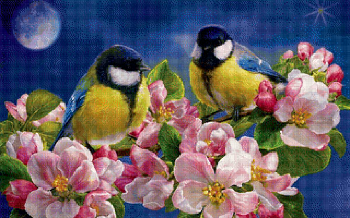 Синицы - птицы, цветы - предпросмотр