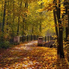 Схема вышивки «Осень»