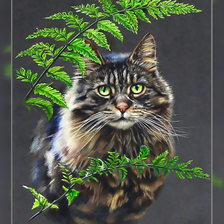 Оригинал схемы вышивки «Кот.» (№1951981)