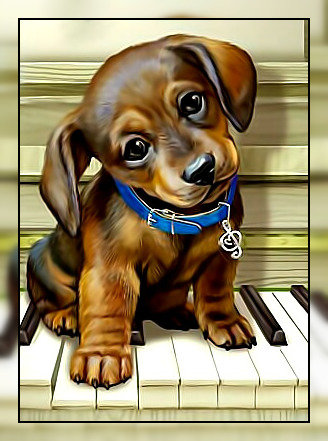 Маленький музыкант2. - рояль, пианино, щенок, такса, музыка. - оригинал