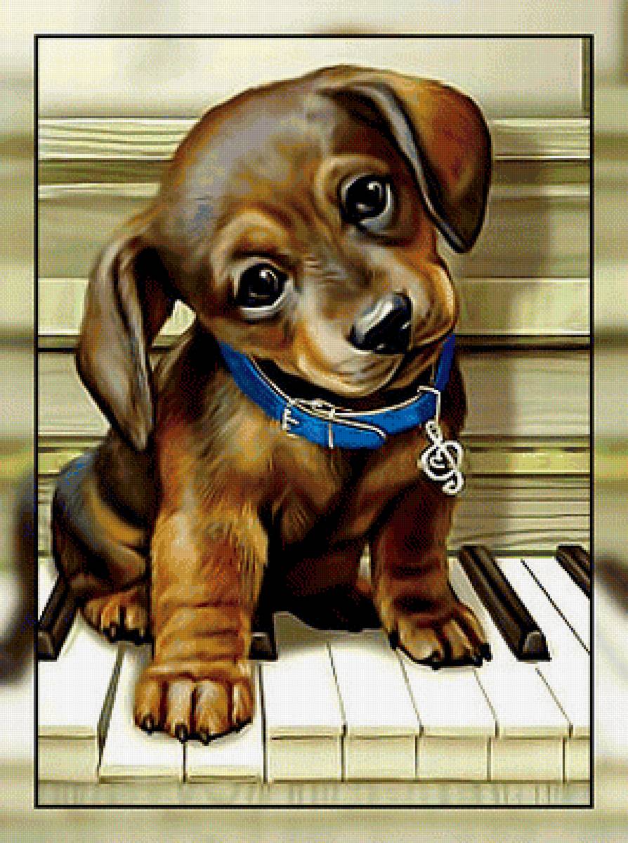 Маленький музыкант2. - пианино, такса, рояль, щенок, музыка. - предпросмотр