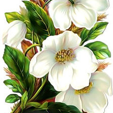 Оригинал схемы вышивки «Белые цветы.» (№1952153)