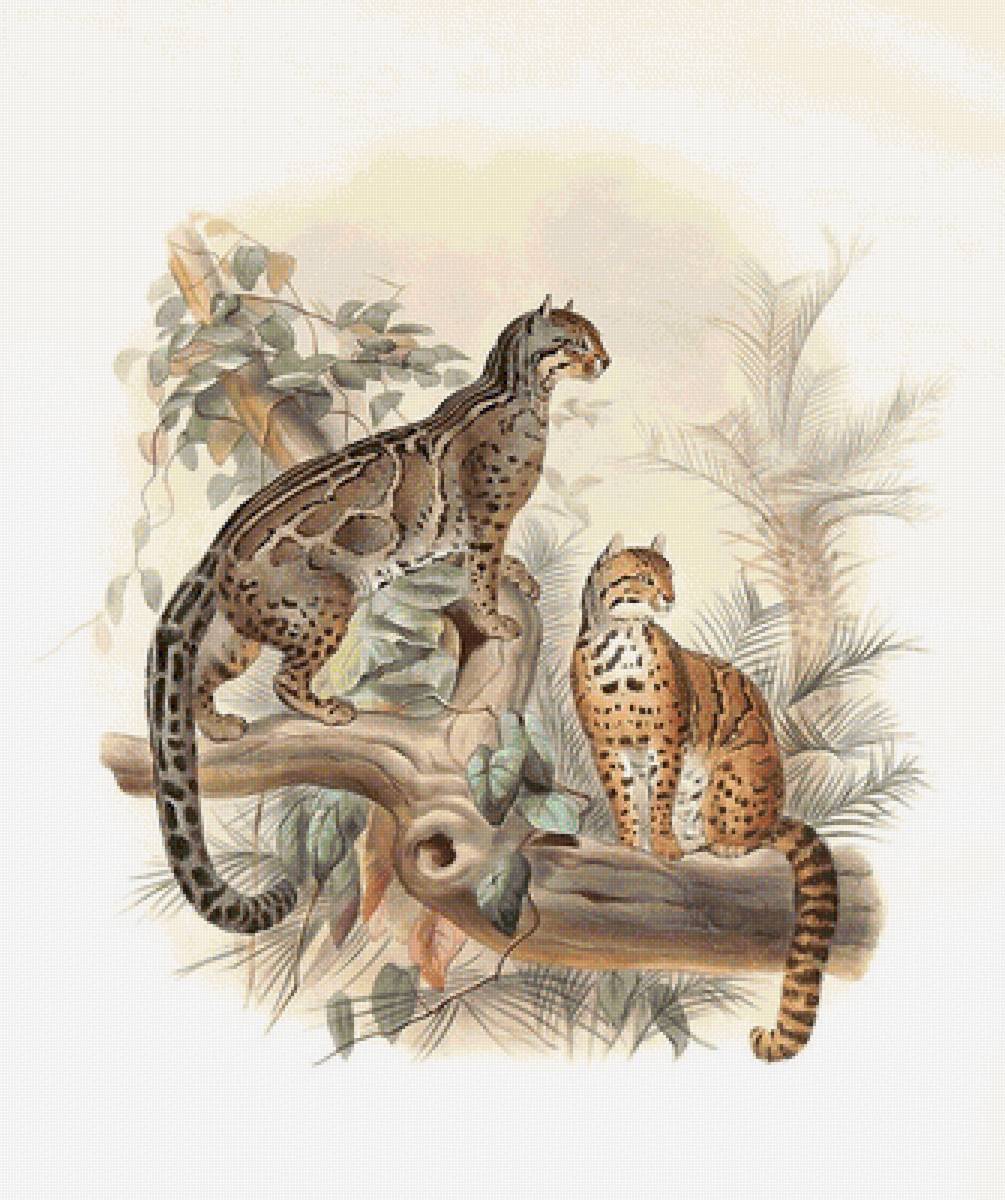 мир животных - мир животных - предпросмотр